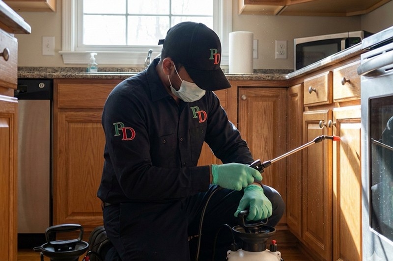Pest Control & Disinfection Service